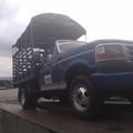 Ford 350 • 1995 • 36 km 1