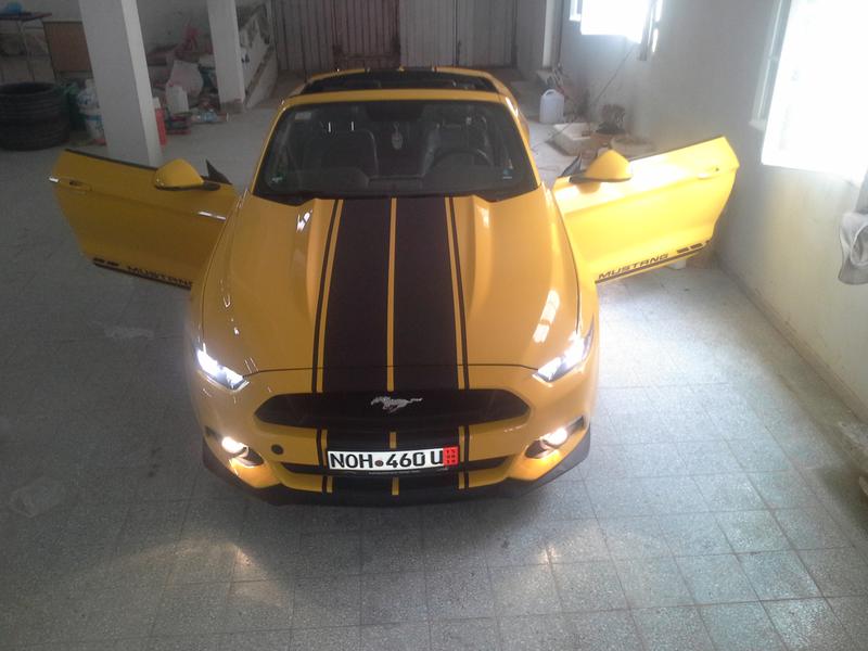 Ford 350 • 2016 • 32,000 km 7