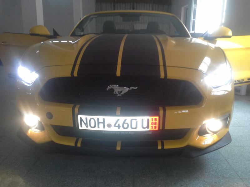 Ford 350 • 2016 • 32,000 km 3