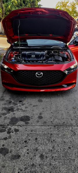Mazda 3 • 2019 • 31,000 km 5