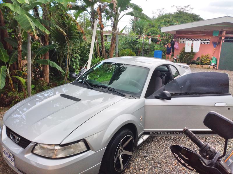 Ford Mustang • 2001 • 85,500 km 1