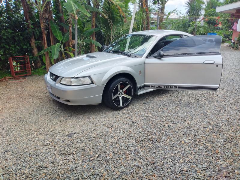 Ford Mustang • 2001 • 85,500 km 8