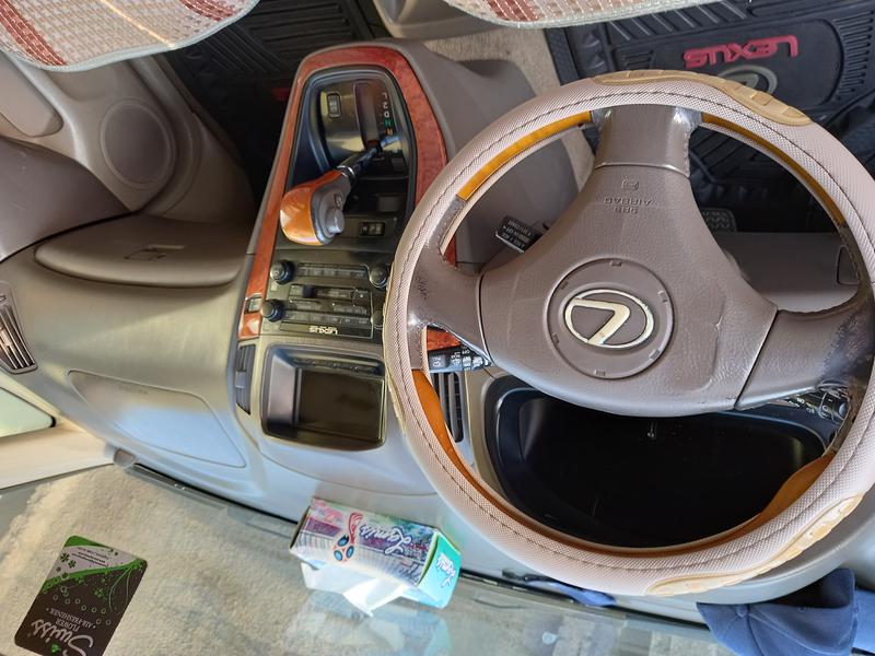 Lexus RX 300 • 2002 • 200 km 8