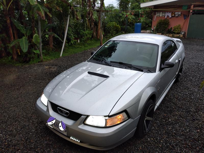 Ford Mustang • 2001 • 85,500 km 9