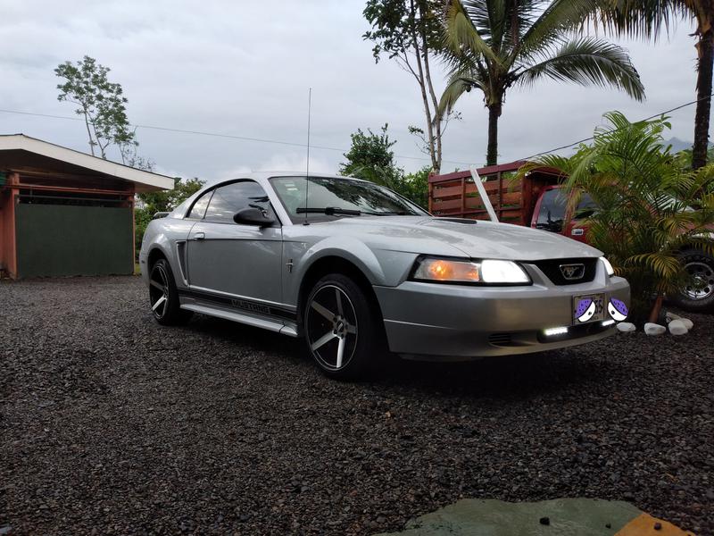 Ford Mustang • 2001 • 85,500 km 6