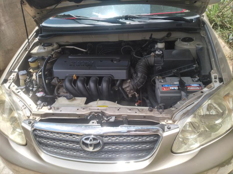 Toyota Corolla • 2008 • 1,000 km 6