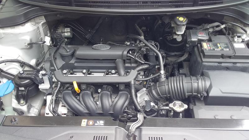Kia Rio • 2019 • 55,000 km 2