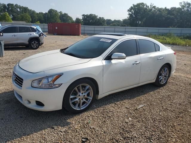 Nissan Maxima • 2013 • 10,000 mi 3