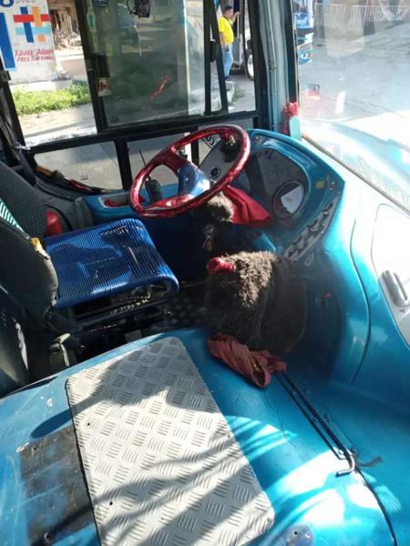 Chevrolet Alto • 2005 • 20,000 km 2