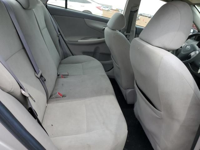 Toyota Corolla • 2010 • 10,000 mi 9