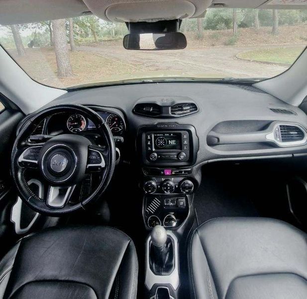 Jeep Renegade • 2015 • 147,000 km 4