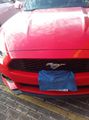 Ford Mustang • 2017 • 25,500 km 2