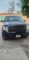 Ford F-150 • 2010 • 189,000 km 1