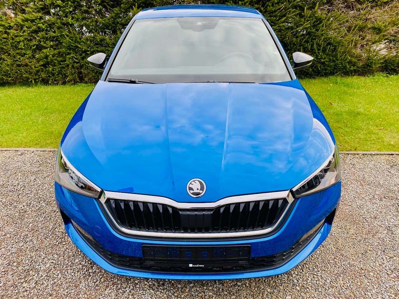 Škoda Favorit • 2019 • 57,000 km 1