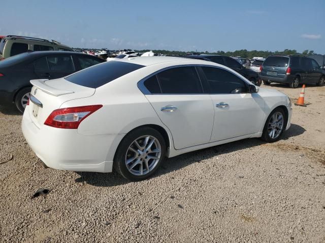 Nissan Maxima • 2013 • 10,000 mi 6
