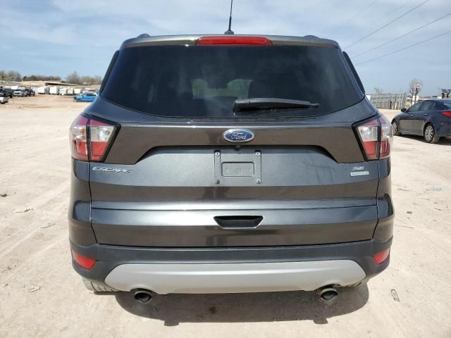 Ford Escape • 2018 • 10,000 mi 5