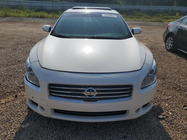 Nissan Maxima • 2013 • 10,000 mi 2