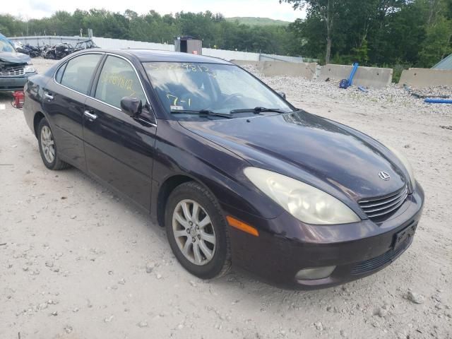 Lexus ES • 2003 • 100 km 1