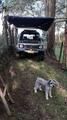 Mitsubishi Pajero • 1991 • 320,000 km 1
