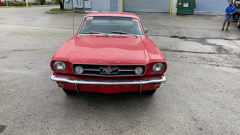 Ford Mustang • 1965 • 67,000 km 4