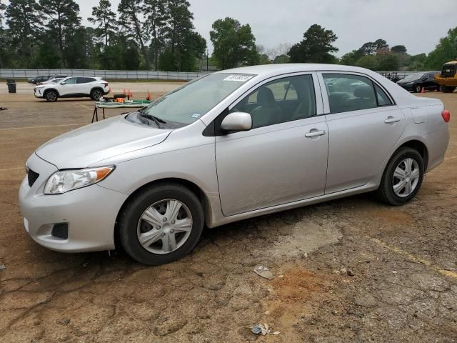Toyota Corolla • 2010 • 10,000 mi 3
