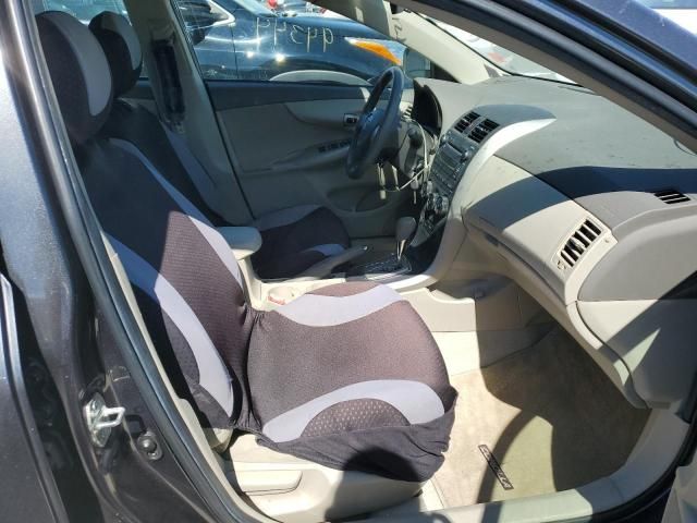 Toyota Corolla • 2010 • 33 km 5