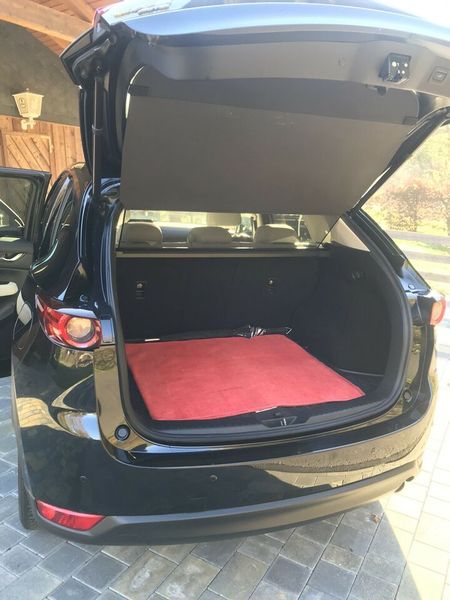 Mazda CX-9 • 2018 • 79,300 km 8