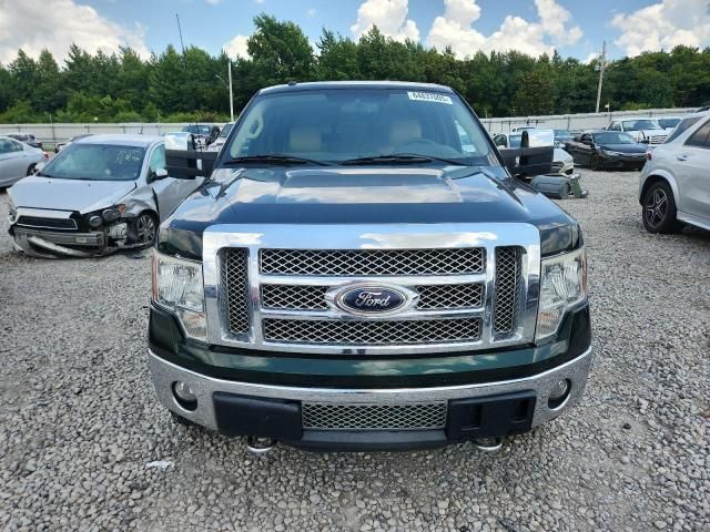 Ford F-150 • 2012 • 10,000 mi 2