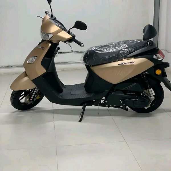 Jch 150 t29 • 2018 • 50 km 4