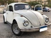 Volkswagen Beetle • 1975 • 1,000,000 km 9