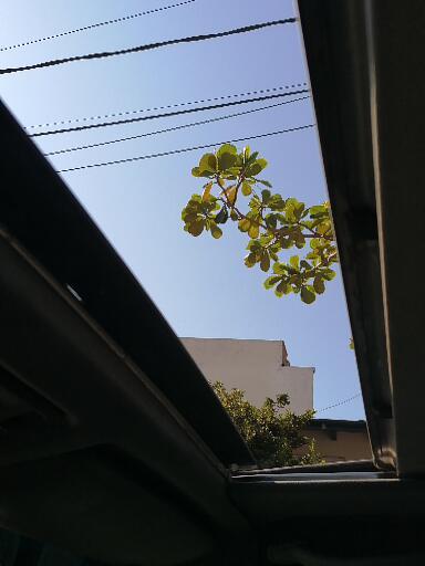 Mercedes-Benz 200 - 300 • 1995 • 315,000 km 9