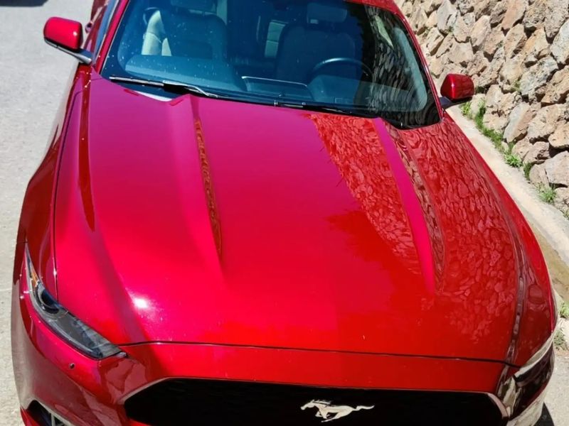 Ford Mustang • 2016 • 66,500 km 13
