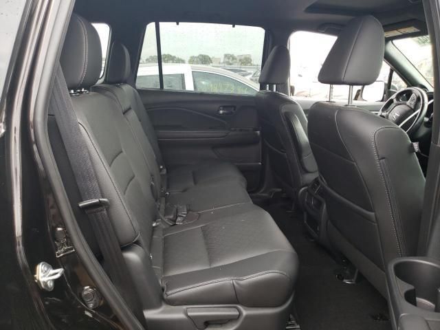 Honda Passport • 2021 • 10,000 mi 9