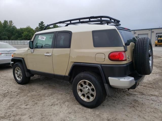 Toyota FJ Cruiser • 2011 • 10,000 mi 4