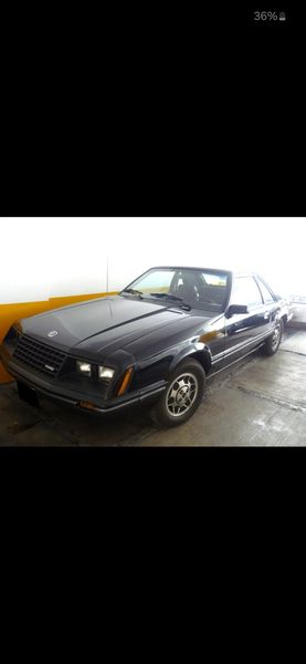 Ford Mustang • 1981 • 60,000 km 1