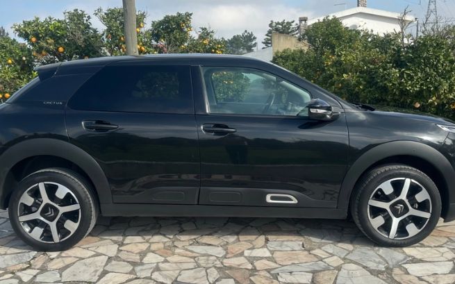 Citroën C4 Cactus • 2018 • 79,000 km 3