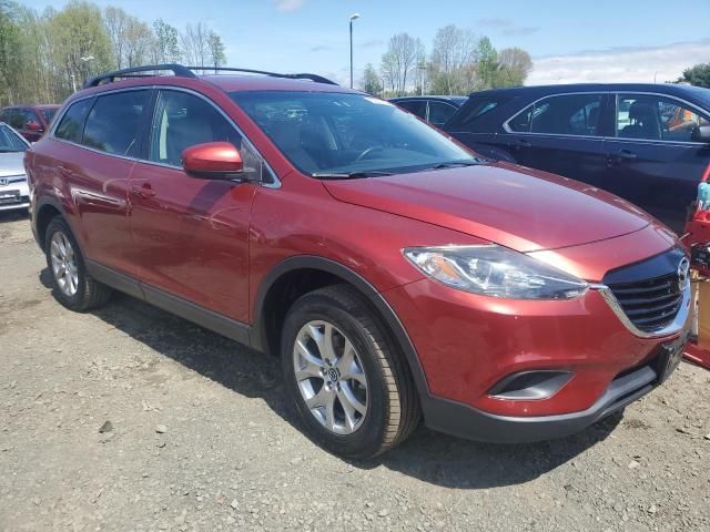 Mazda CX-9 • 2015 • 10,000 mi 1