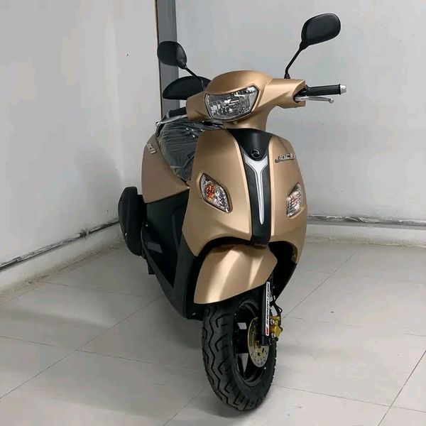 Jch 150 t29 • 2018 • 50 km 2