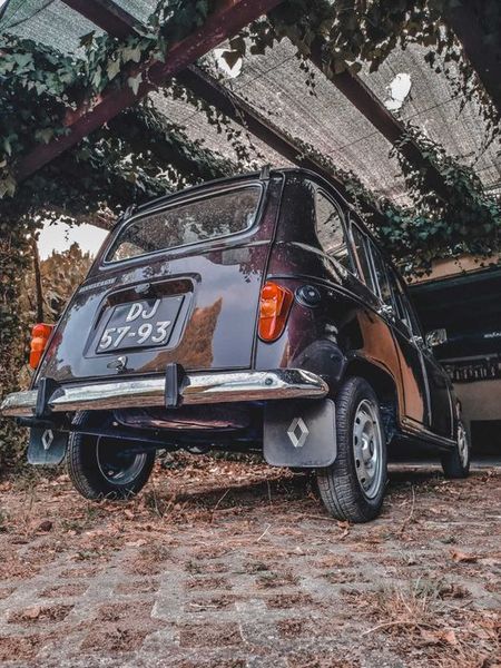 Renault Scénic • 1984 • 135,000 km 4