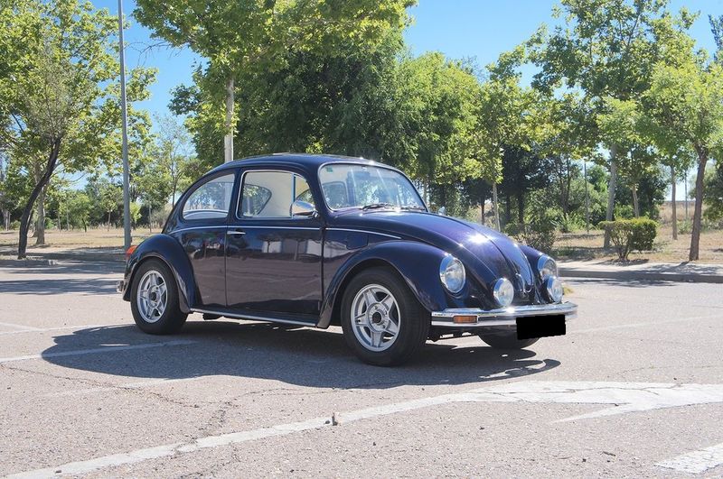 Volkswagen Beetle • 1968 • 69,000 km 13