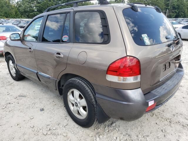 Hyundai Santa Fe • 2006 • 10,000 mi 3