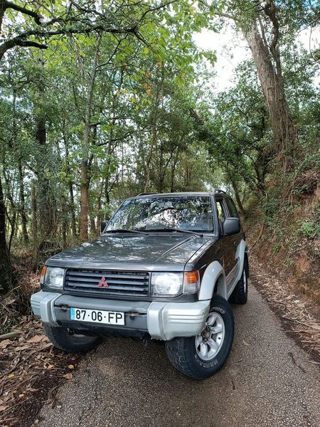 Mitsubishi Pajero • 2008 • 60,000 km 1