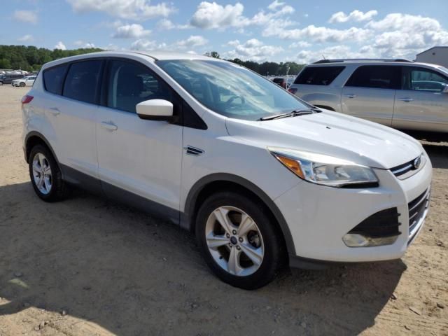 Ford Escape • 2016 • 10,000 mi 1