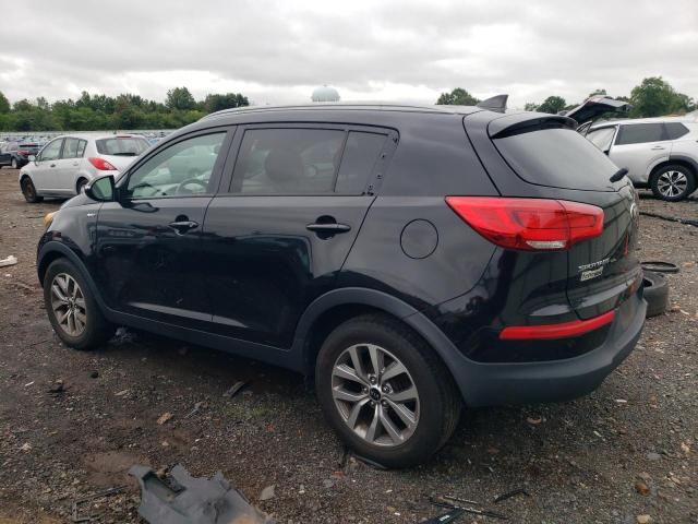 Kia Sorento • 2016 • 10,000 mi 3