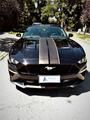 Ford Mustang • 2019 • 10,000 km 3