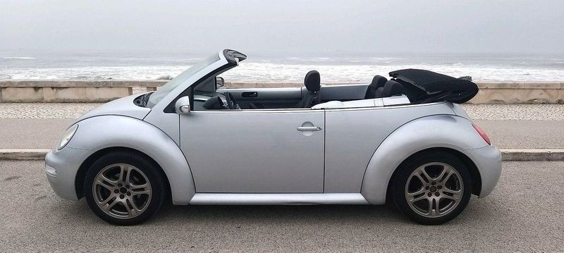 Volkswagen New Beetle • 2004 • 119,000 km 4