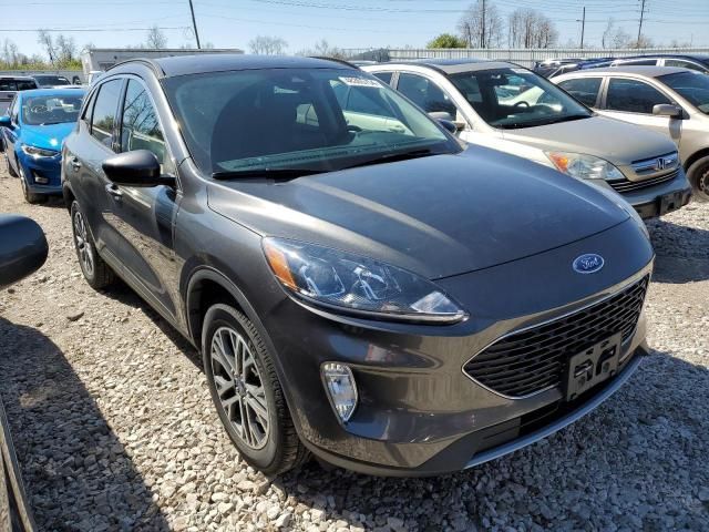 Ford Escape • 2020 • 10,000 mi 1