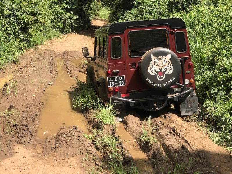 Land Rover Defender • 2002 • 0 km 6