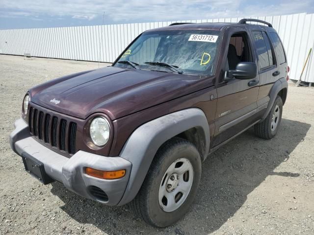 Jeep Liberty • 2004 • 12 km 6