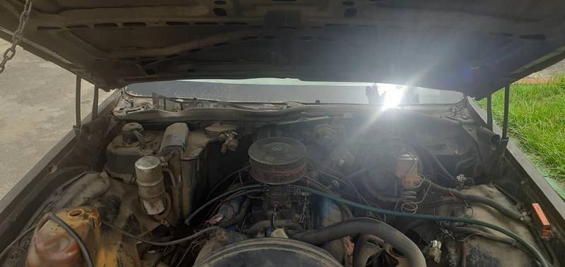 Chevrolet Impala • 1981 • 500,000 km 5